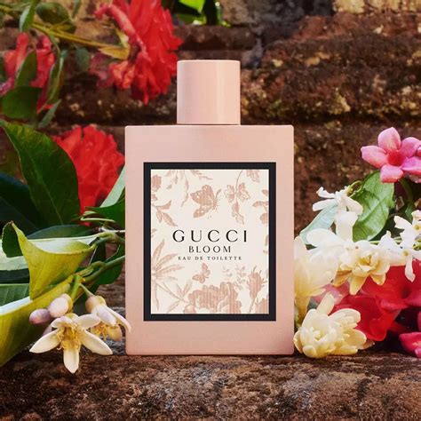 buy gucci bloom india|gucci bloom perfume smell.